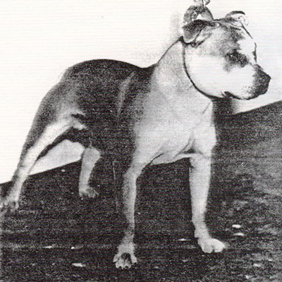 1964 - Hoplite Red Devil
