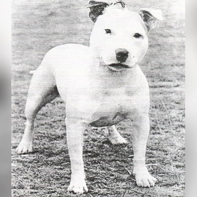 1966 - Hyndland Jaunty Jock