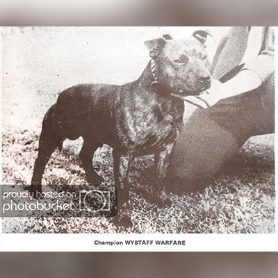 1970 - Wystaff Warfare