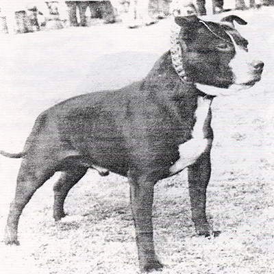 1971 - Rainsbrook Renegade