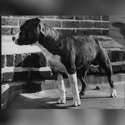 1973 - Benext Beau