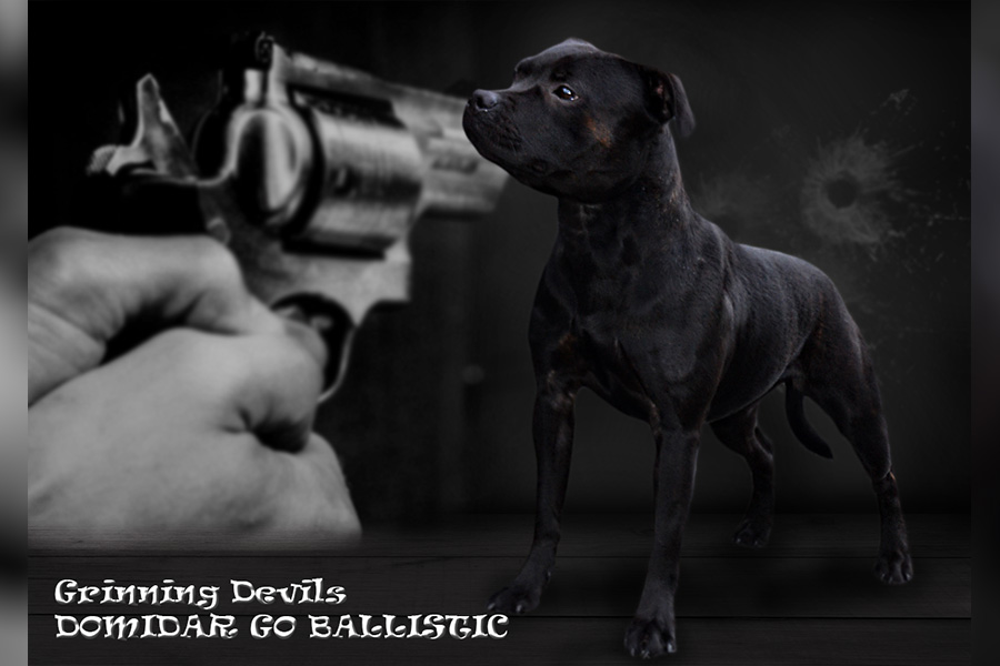 Grinning Devils DOMIDAR GO BALLISTIC