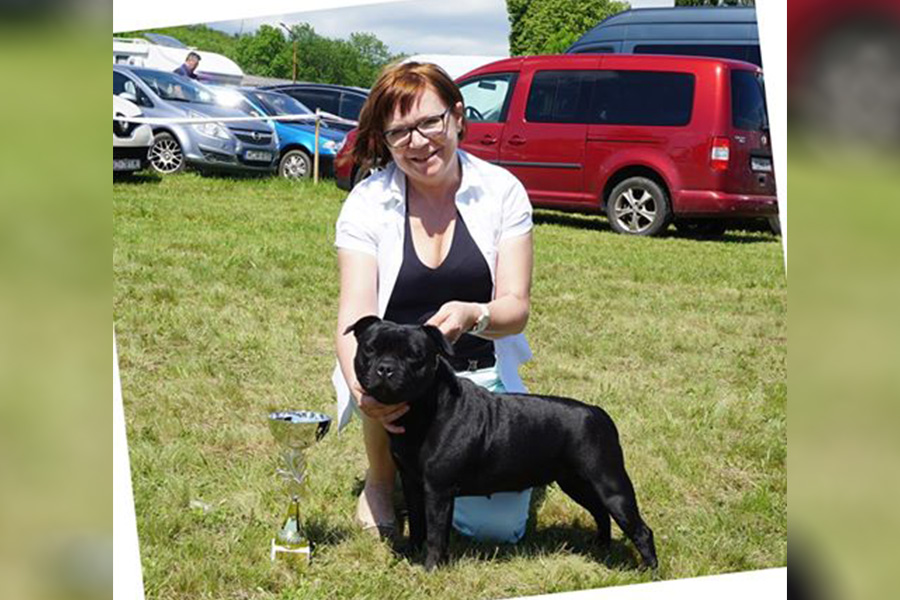 EXTRA'S LEGACY Domidar Dogs