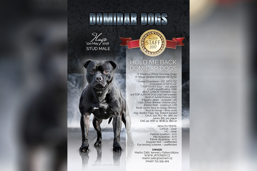 HOLD ME BACK Domidar Dogs