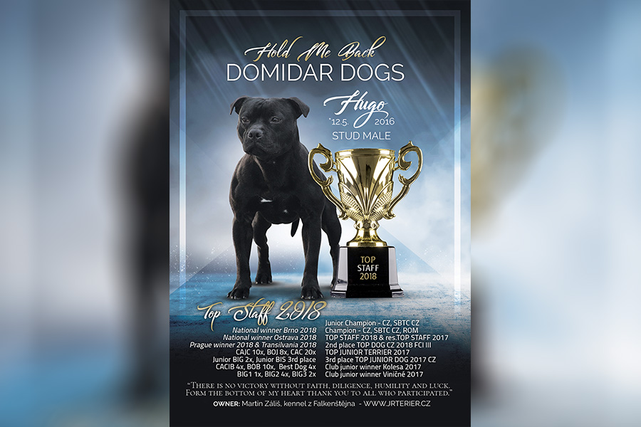 HOLD ME BACK Domidar Dogs