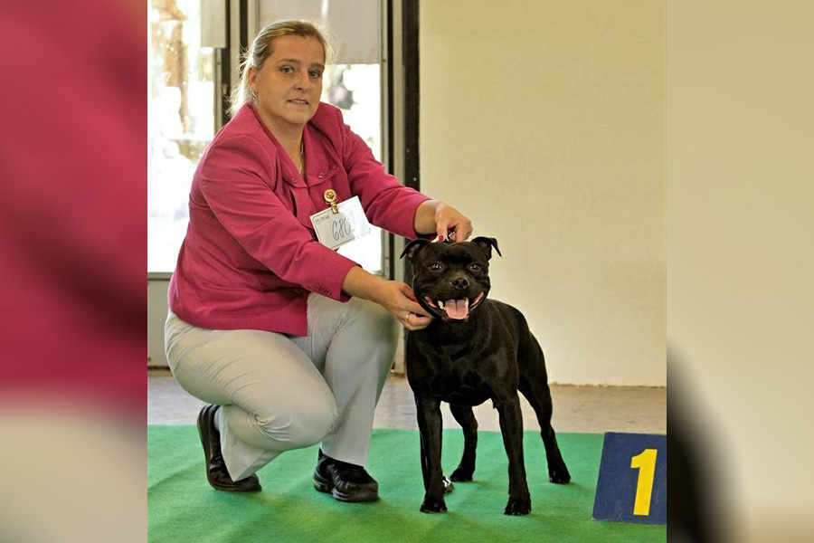 KALASHNIKOV Domidar Dogs
