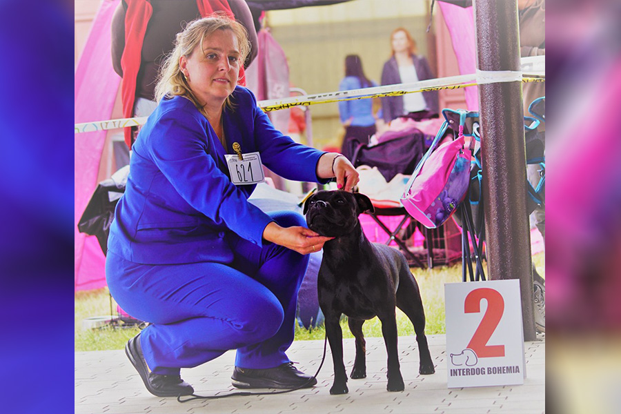 KISS OF DEATH Domidar Dogs