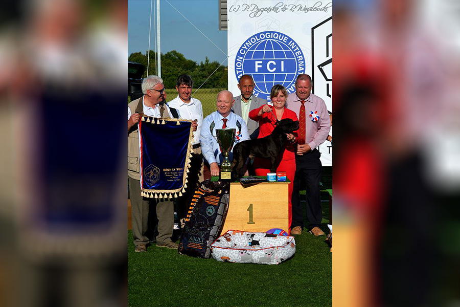 Jana Zálišová & MultiCh., IntCh. GLIMMER MAN Domidar Dogs (TOP STAFF 2017, držitel rekordu)