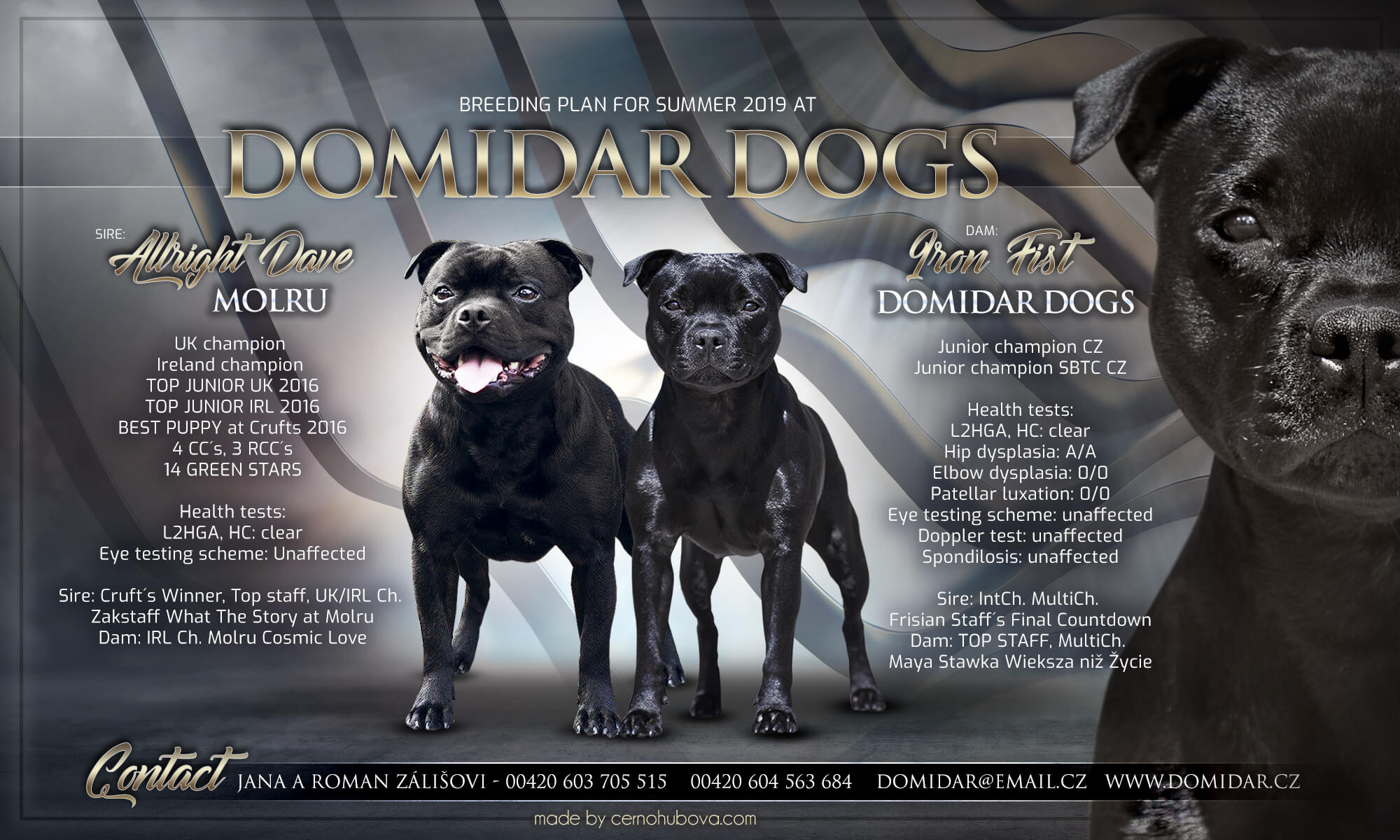 2019 Plánované krytí Iron Fist Domidar Dogs