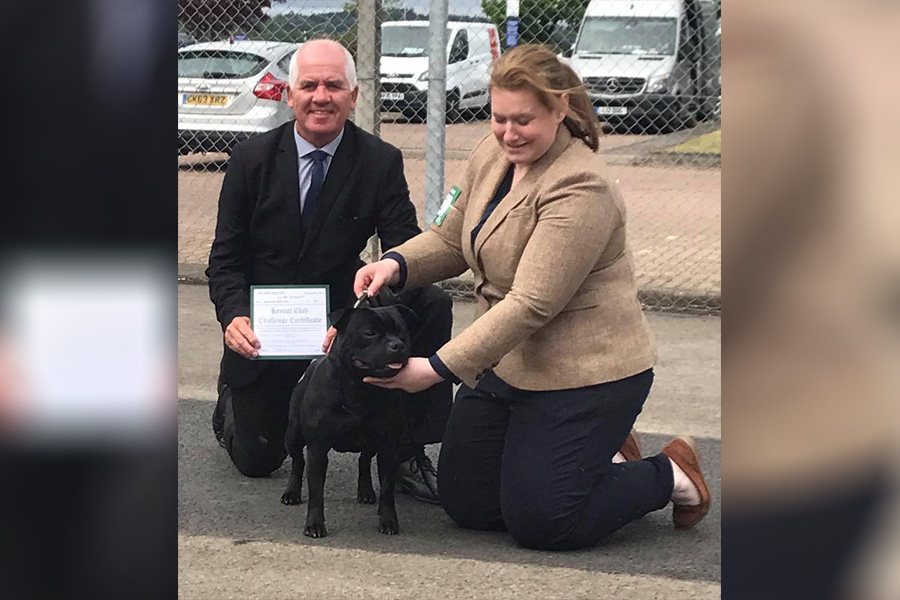 UKCh. Molru Alright Dave