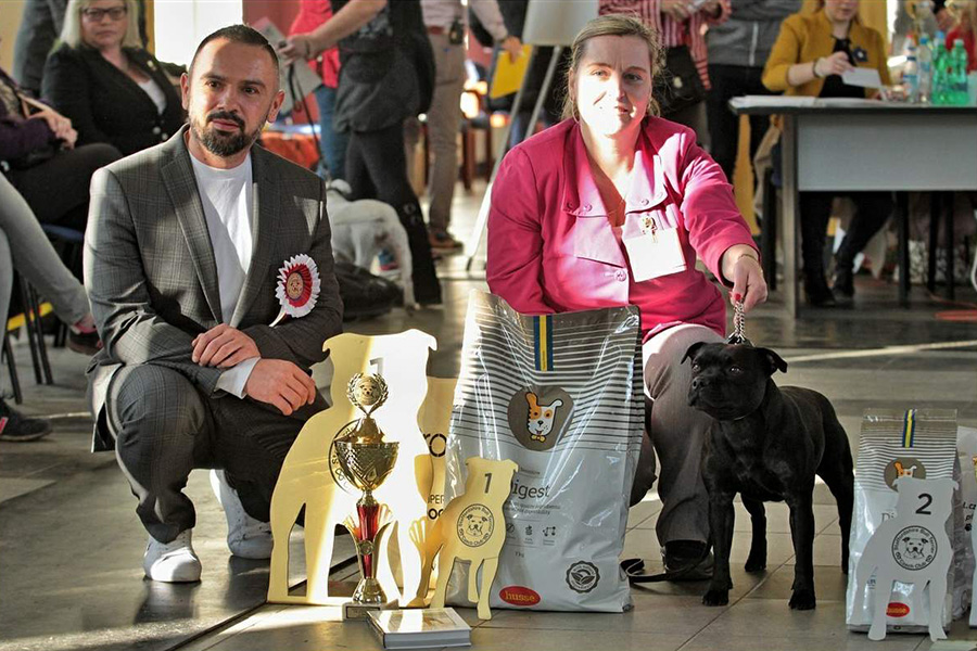 JCh. Iron Fist Domidar Dogs