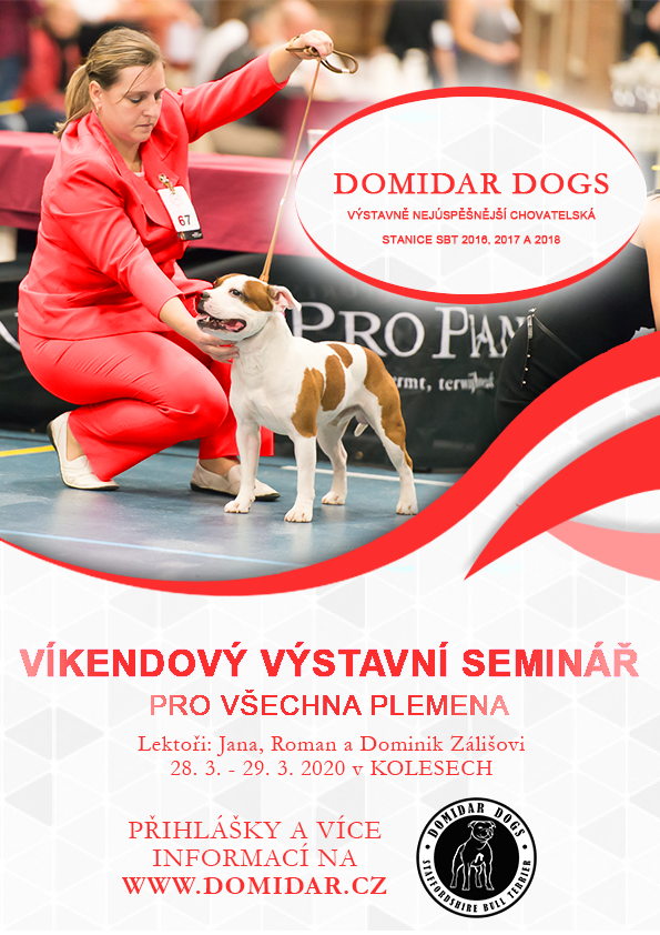 Víkendový výstavní seminář - březen 2020