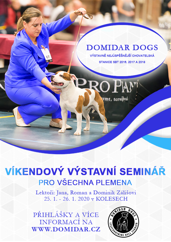 Víkendový výstavní seminář - leden 2020
