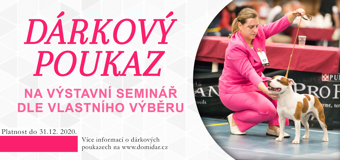 Dárkový poukaz na výstavní seminář dle vlastního výběru v roce 2020